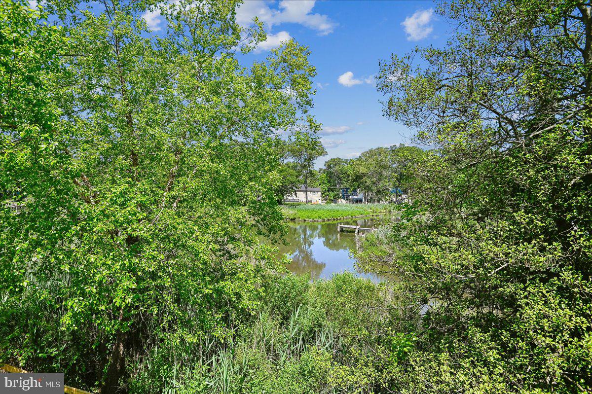 4950 Bonniewood Dr Property Photo 43