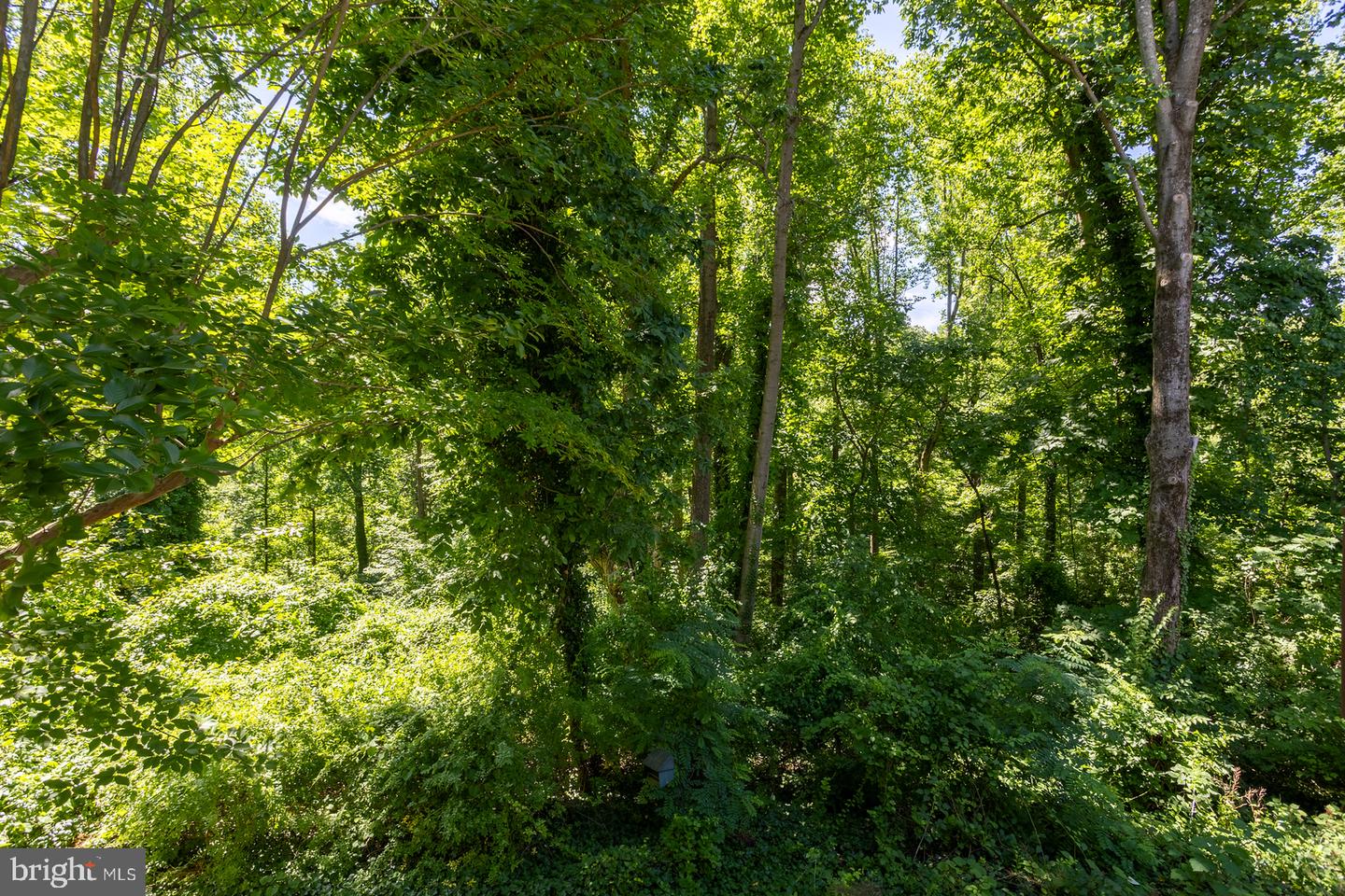 563 Bay Dale Ct Property Photo 41