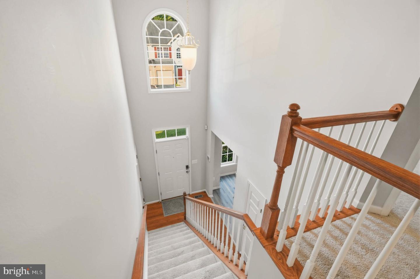 7225 Bocastle Ln Property Photo 3