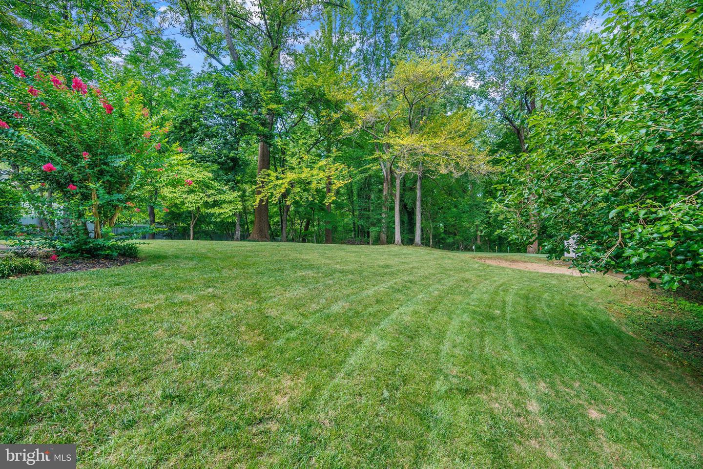 1135 Goldfinch Ln Property Photo 72