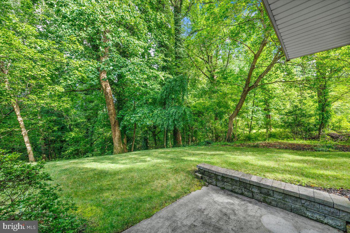 1135 Goldfinch Ln Property Photo 82