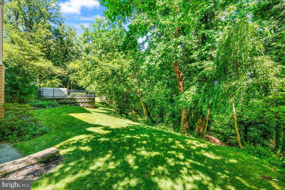 1135 Goldfinch Ln Property Photo 83