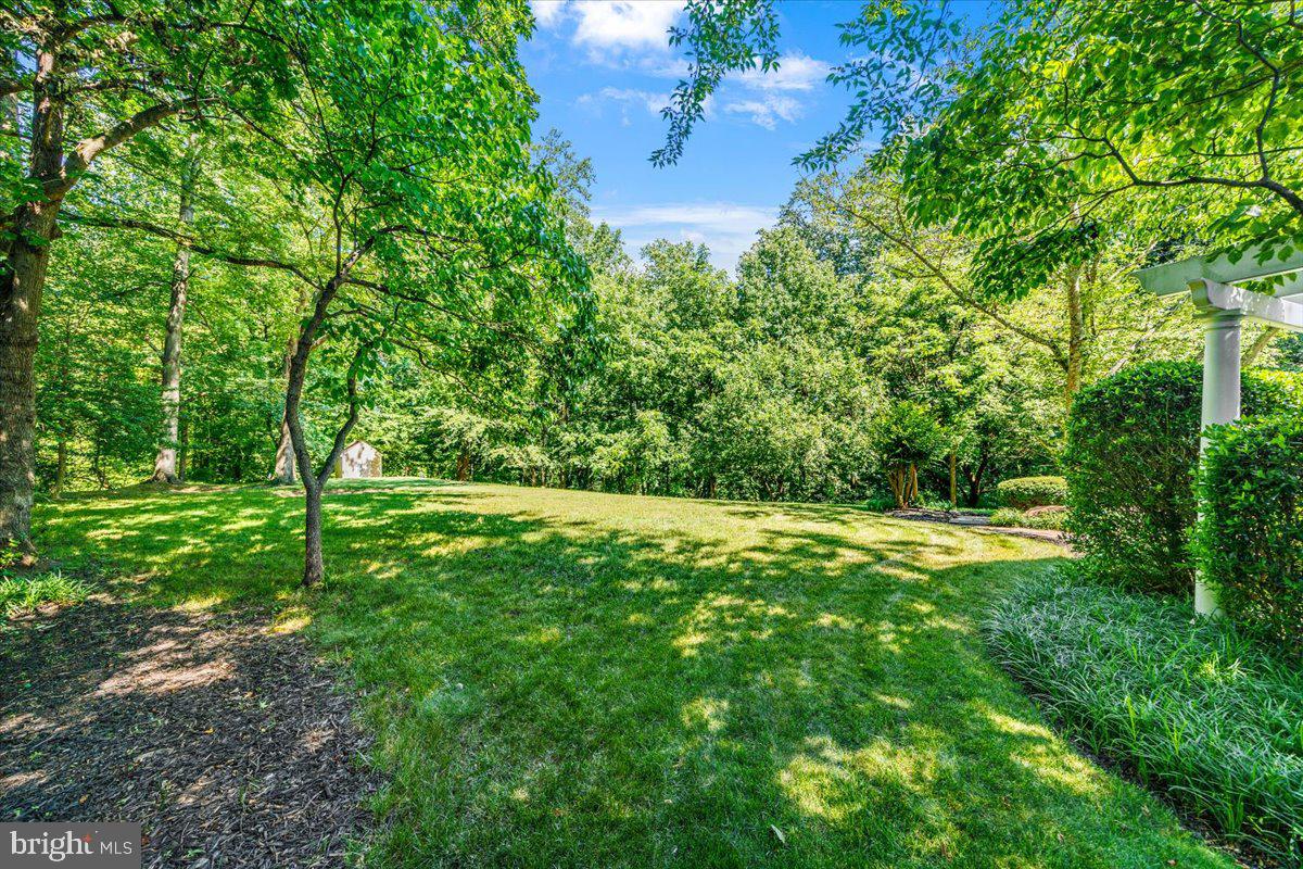 1135 Goldfinch Ln Property Photo 84