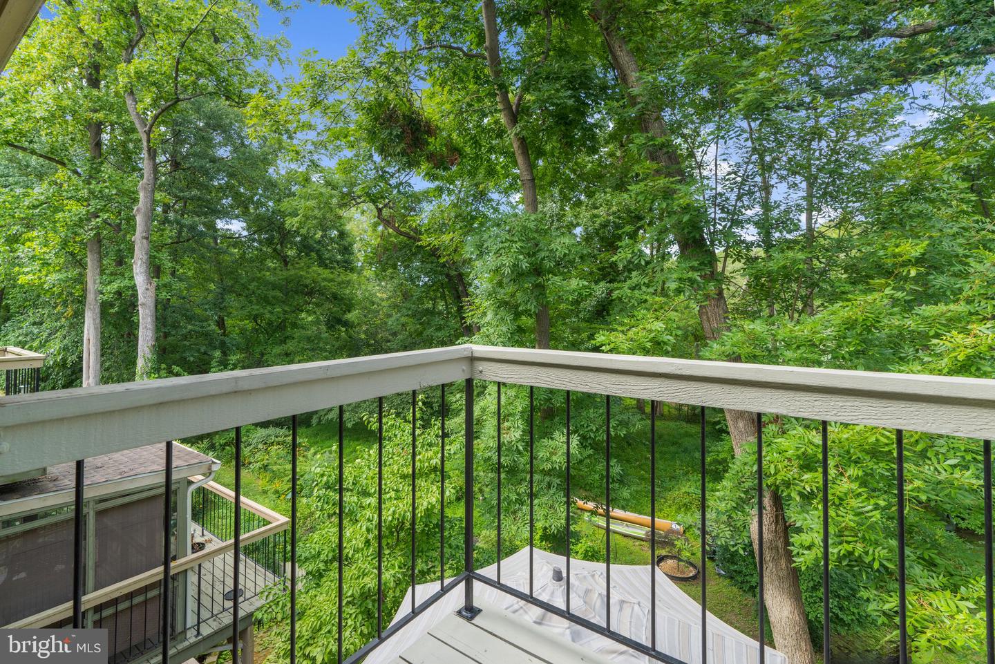 436 Cranes Roost Ct Property Photo 19