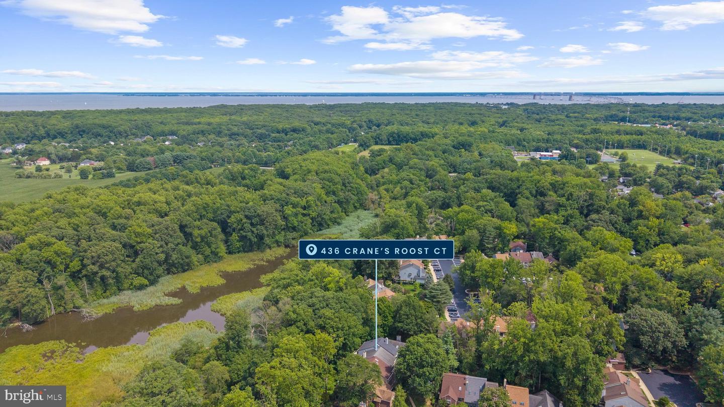 436 Cranes Roost Ct Property Photo 39