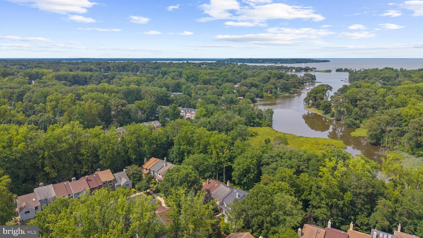 436 Cranes Roost Ct Property Photo 41