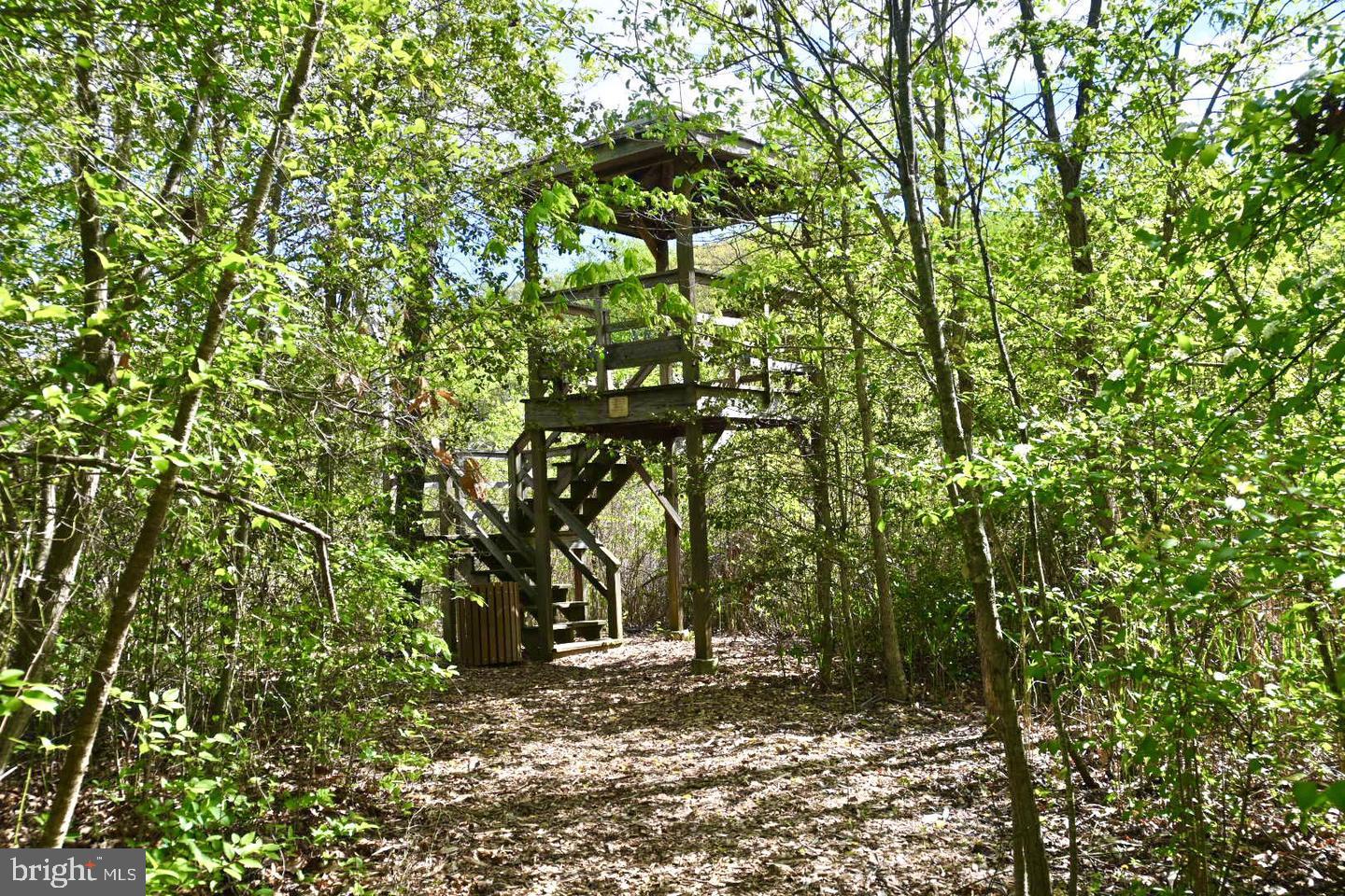 436 Cranes Roost Ct Property Photo 47