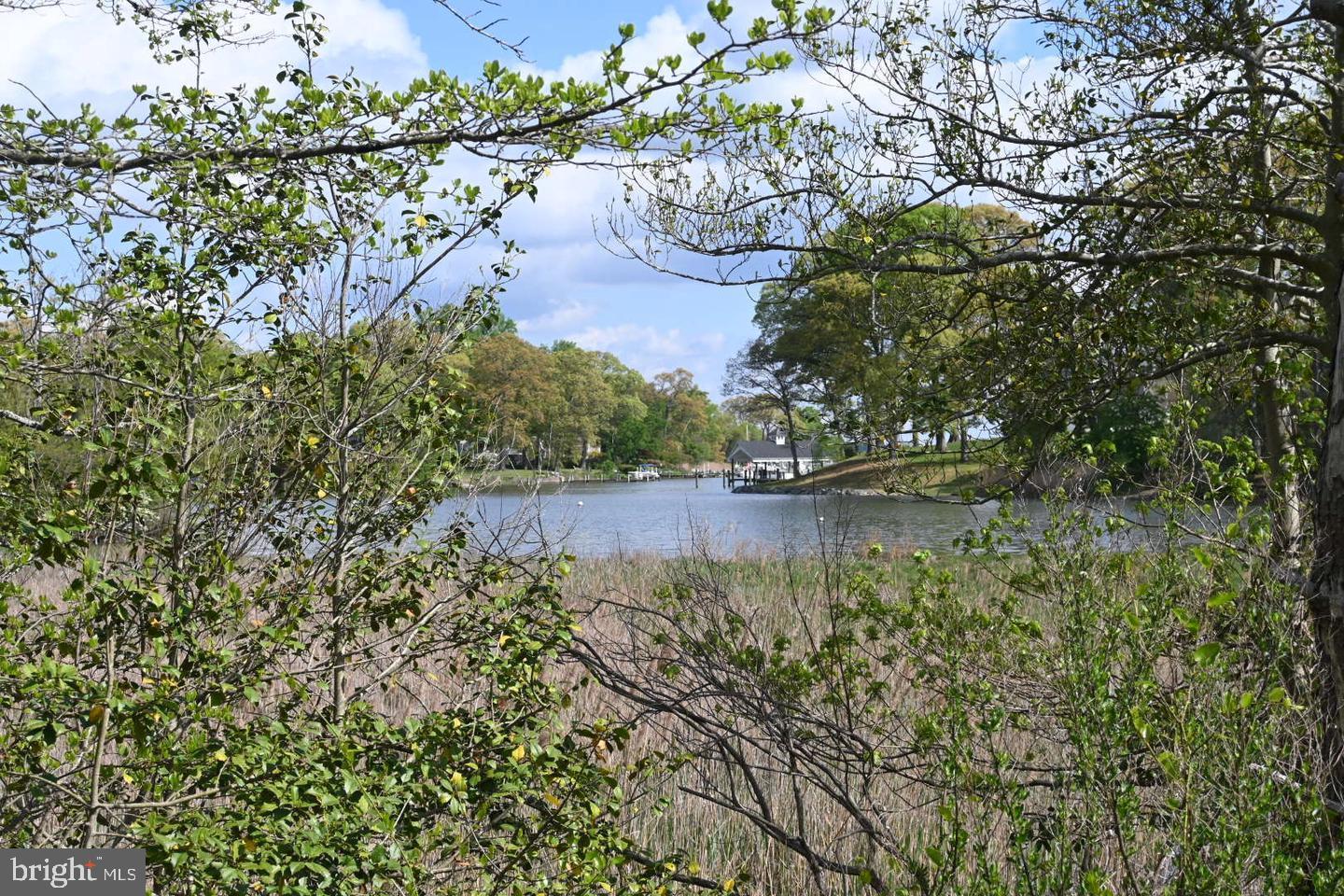 436 Cranes Roost Ct Property Photo 49