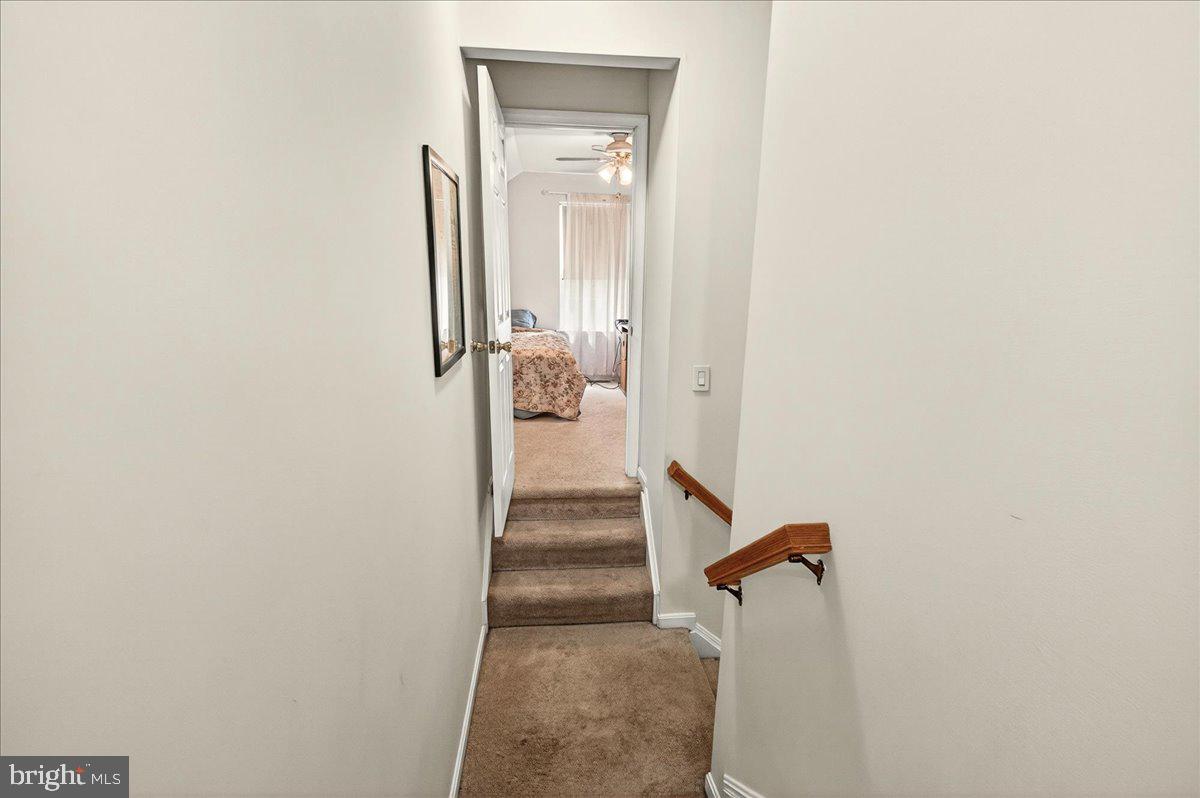 3847 Holly Dr Property Photo 23