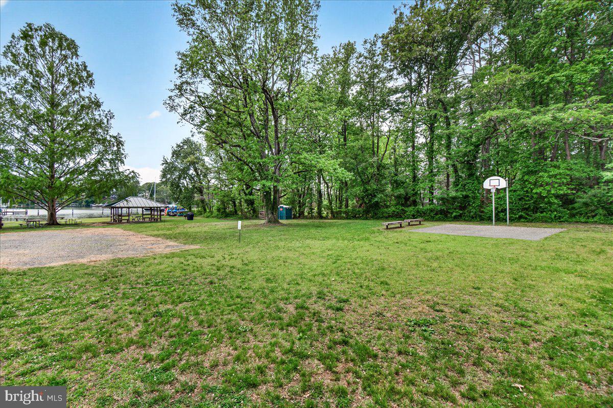 3847 Holly Dr Property Photo 49
