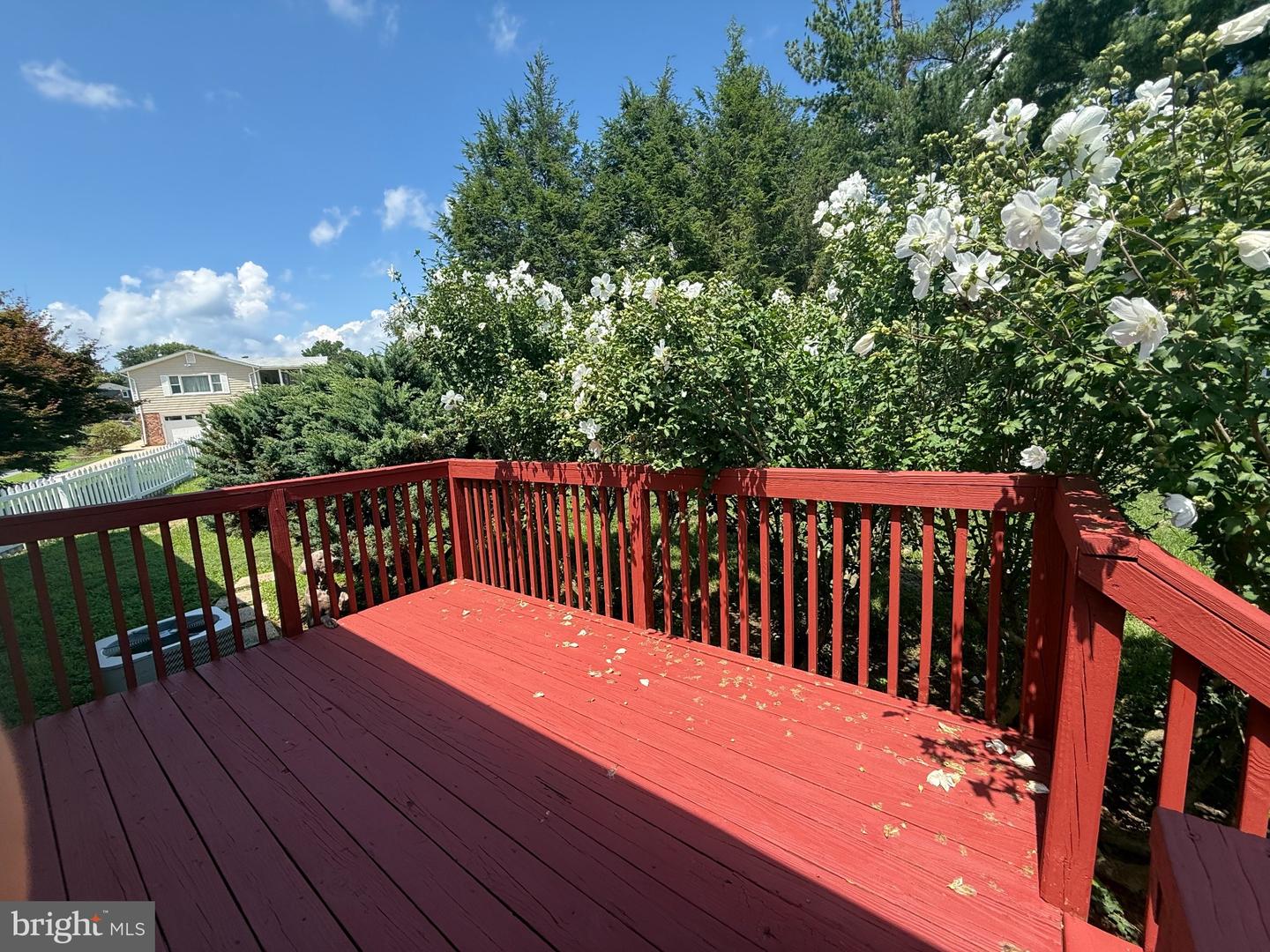 736 Hillmeade Rd Property Photo 32