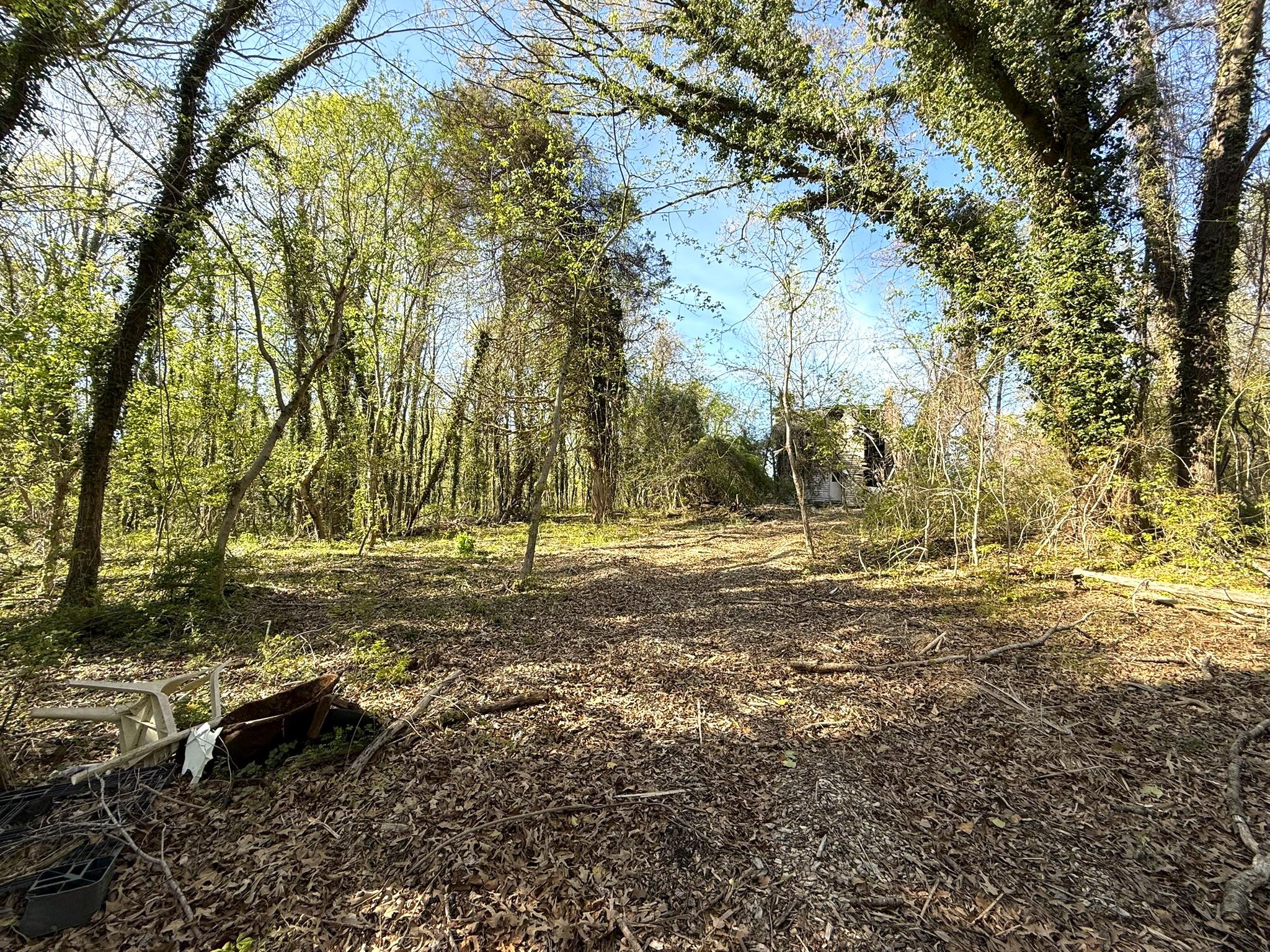 4111 Old Muddy Creek Rd Property Photo 1