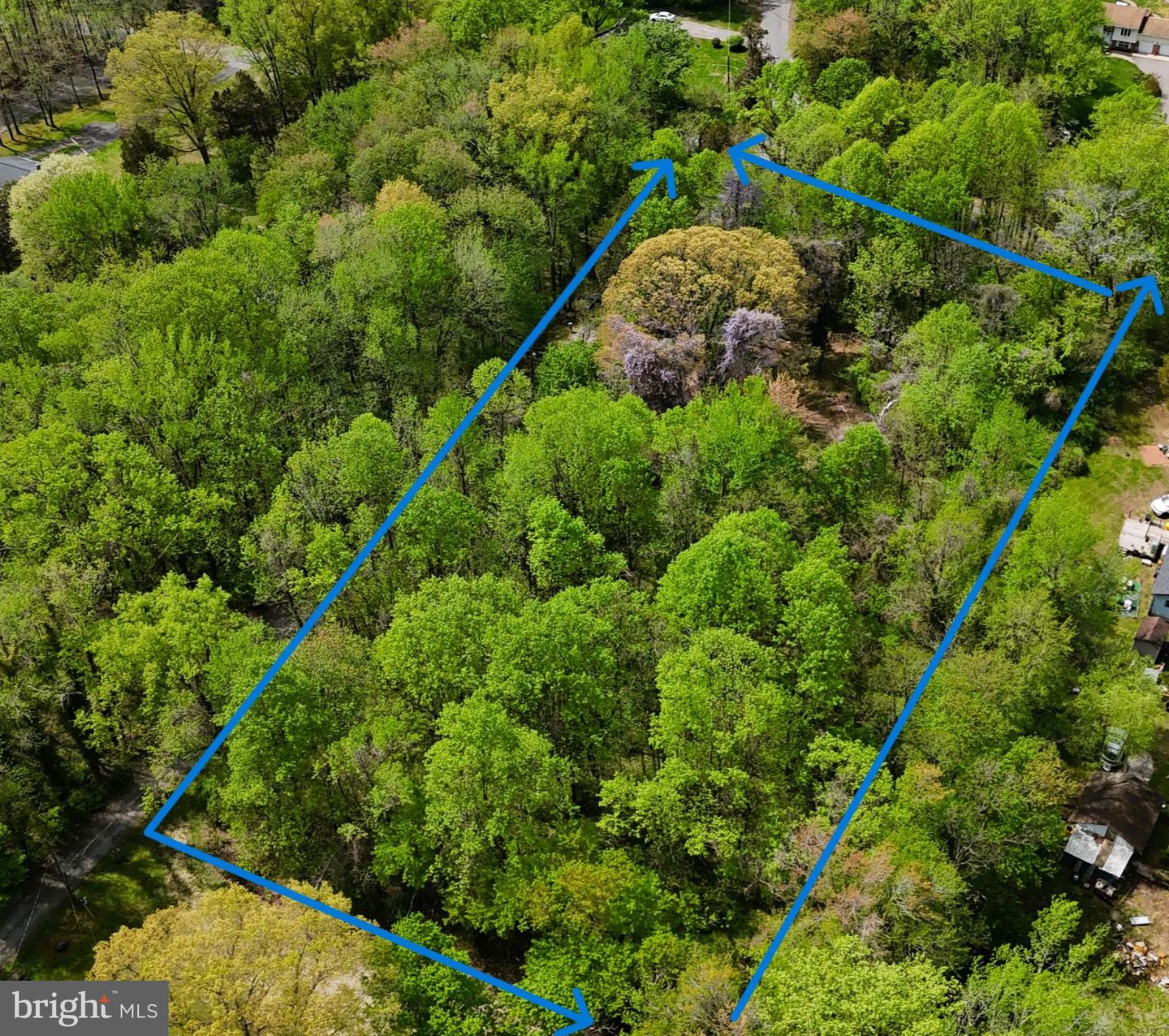 4111 Old Muddy Creek Rd Property Photo 3