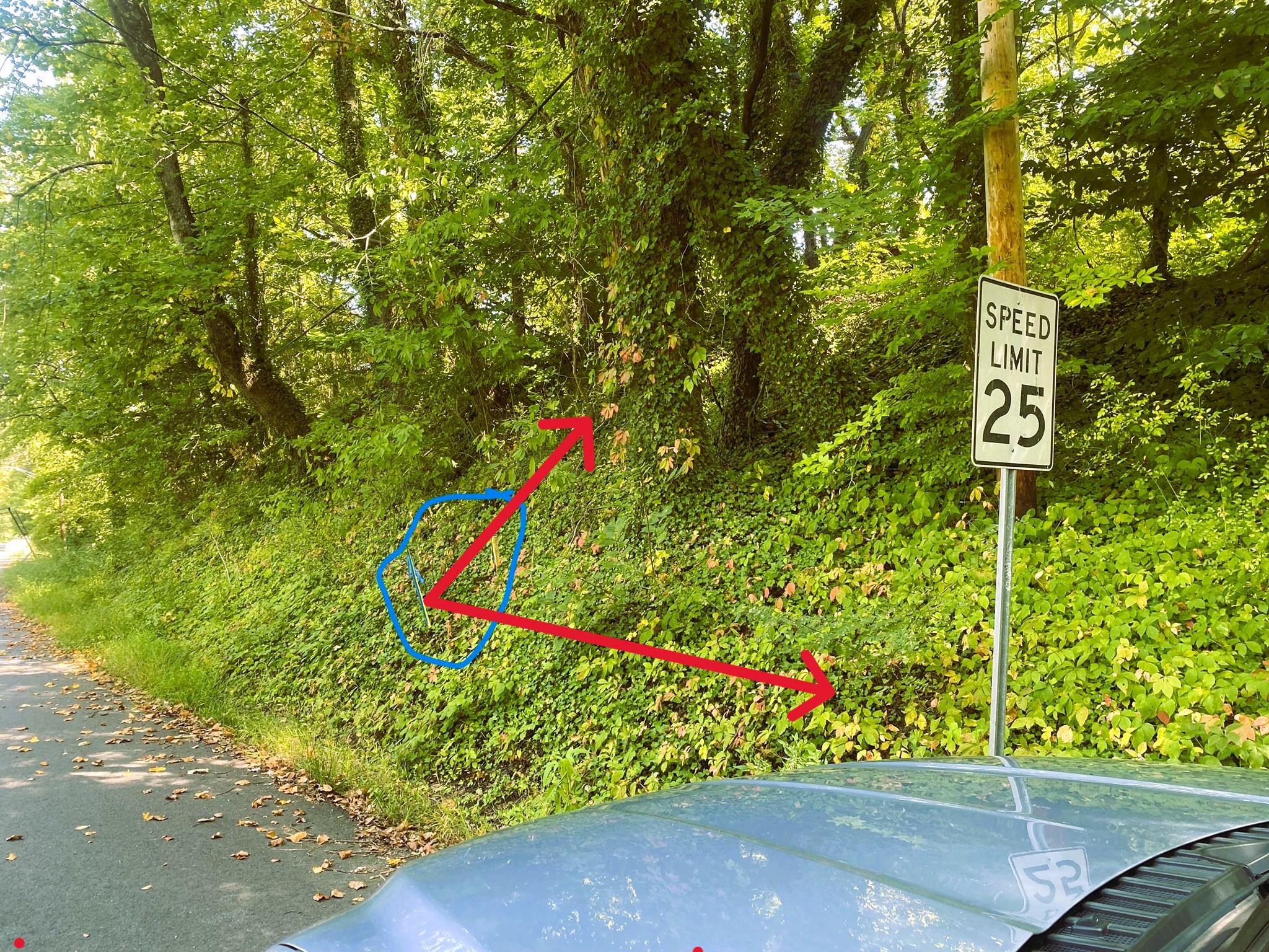 4111 Old Muddy Creek Rd Property Photo 5