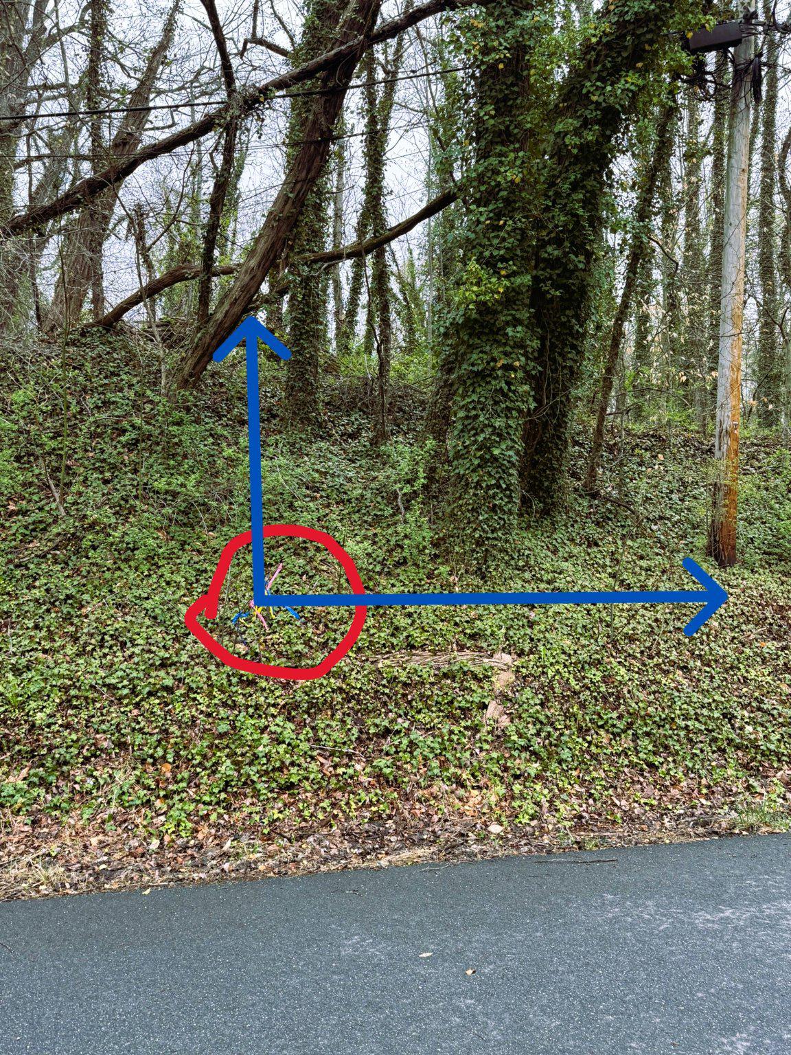 4111 Old Muddy Creek Rd Property Photo 6