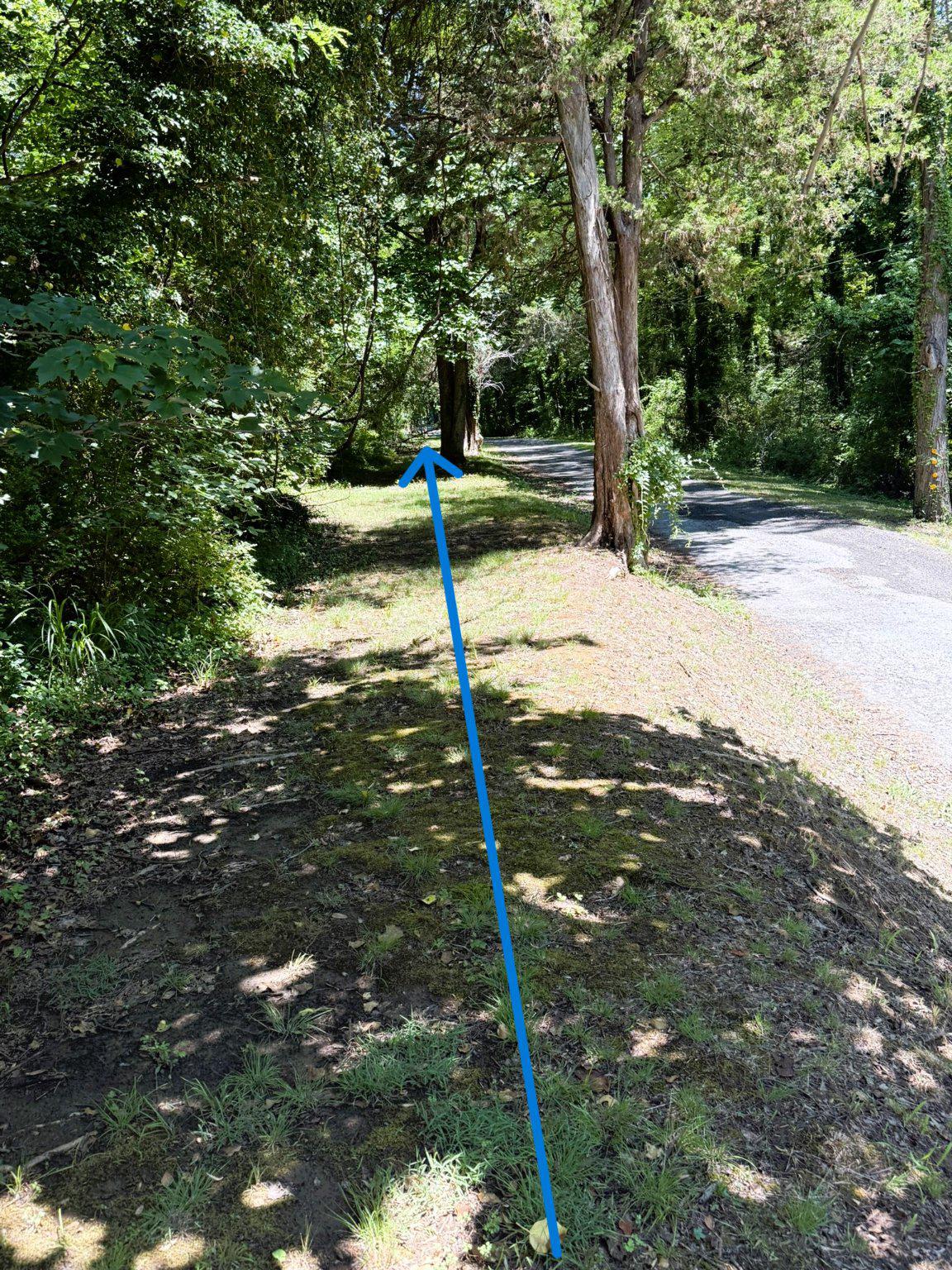 4111 Old Muddy Creek Rd Property Photo 9