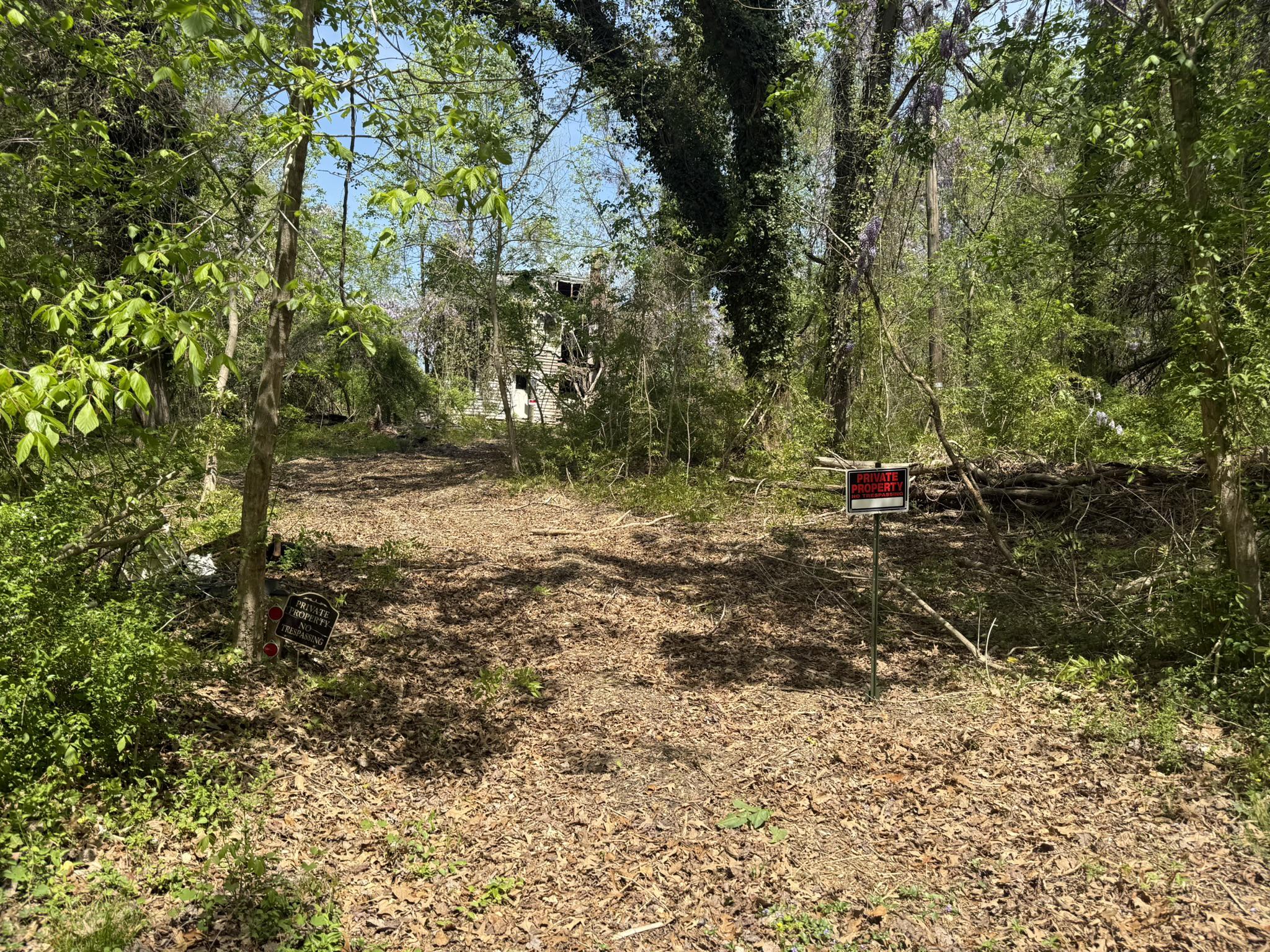 4111 Old Muddy Creek Rd Property Photo 15