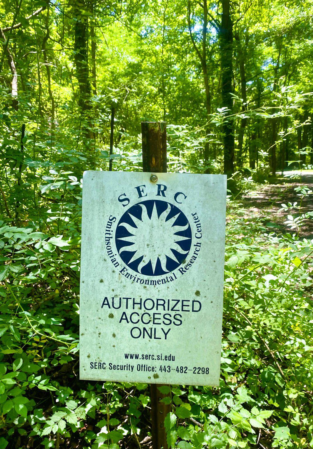 4111 Old Muddy Creek Rd Property Photo 18