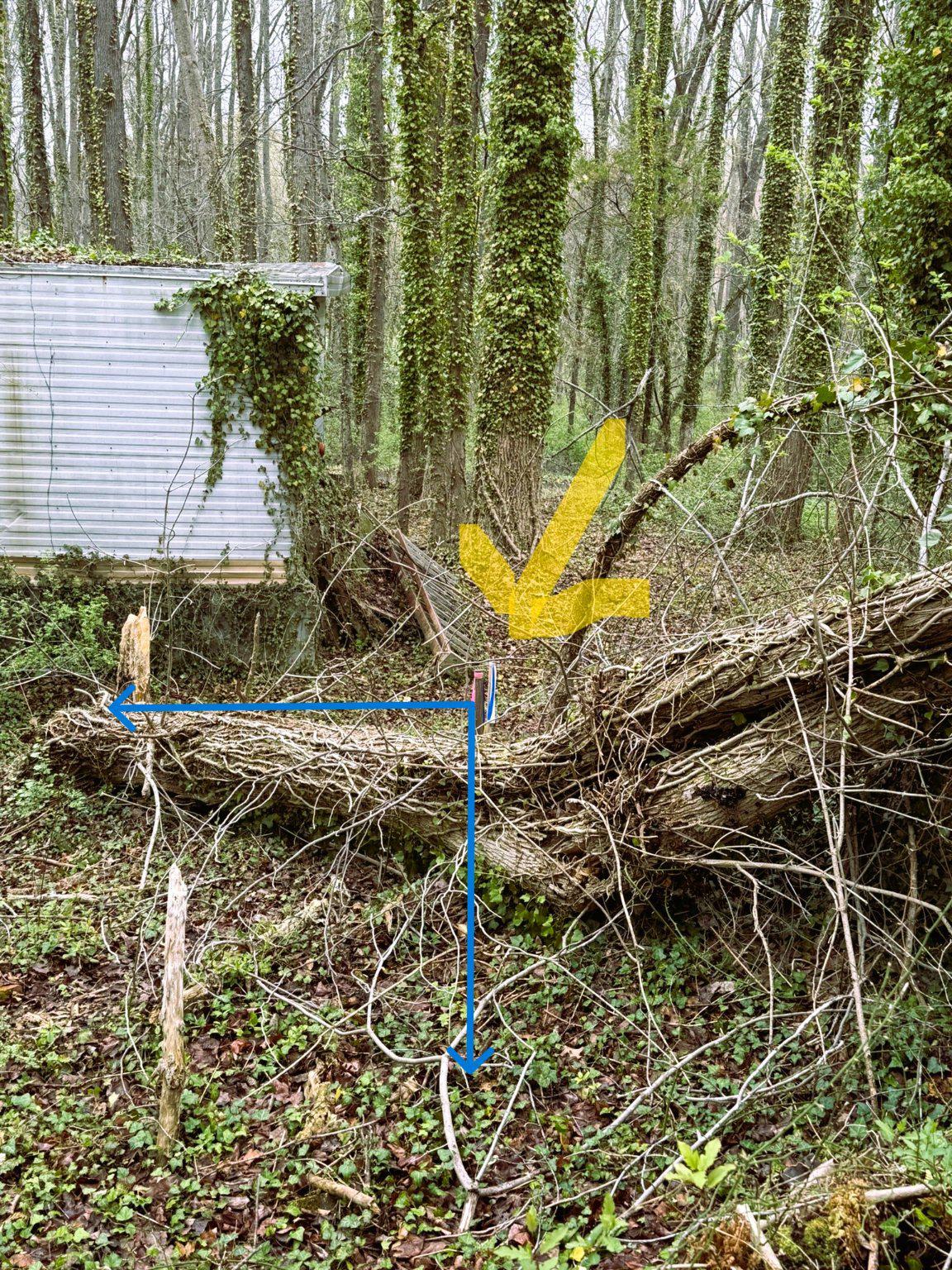 4111 Old Muddy Creek Rd Property Photo 22