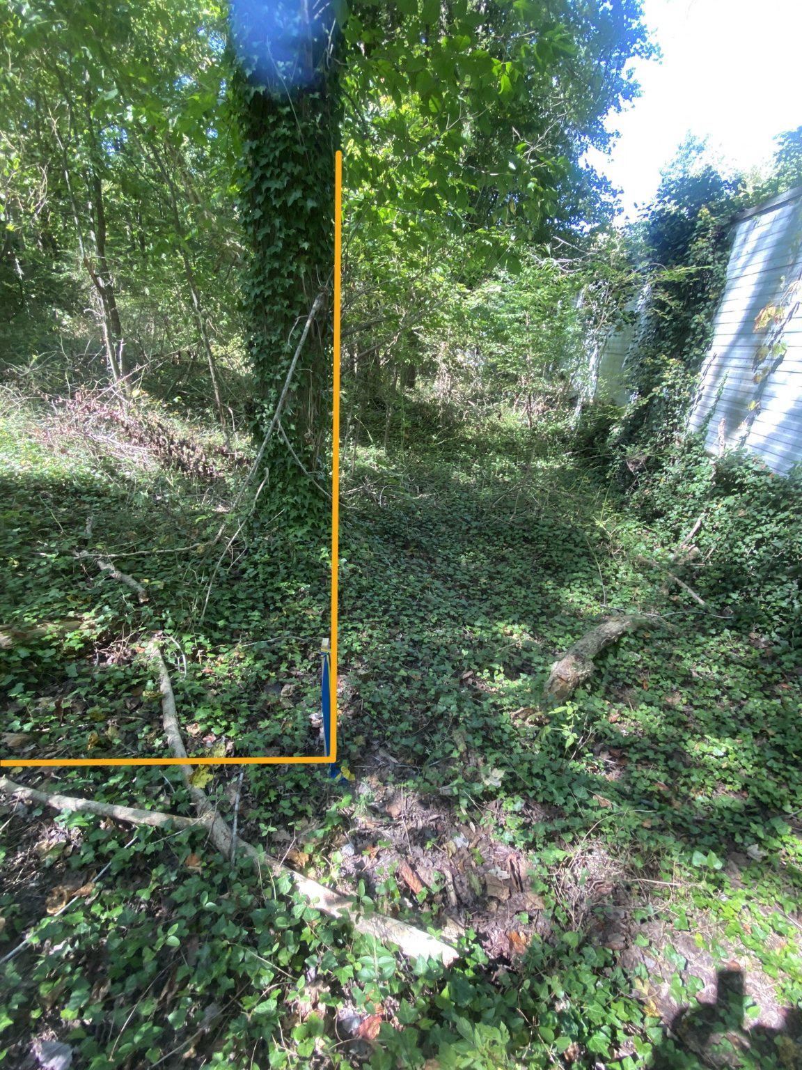 4111 Old Muddy Creek Rd Property Photo 24
