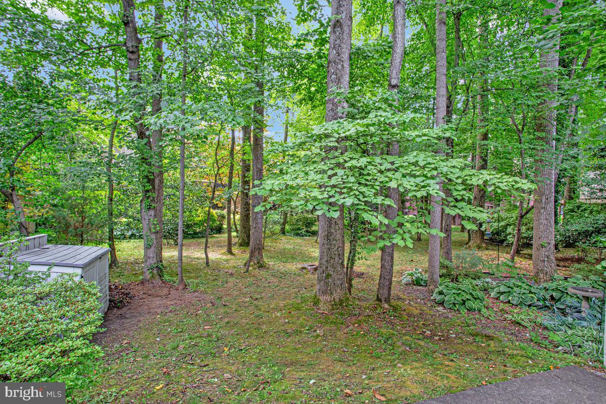 448 Cranes Roost Ct Property Photo 23