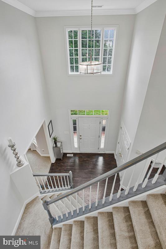 908 Enfield Way Property Photo 23