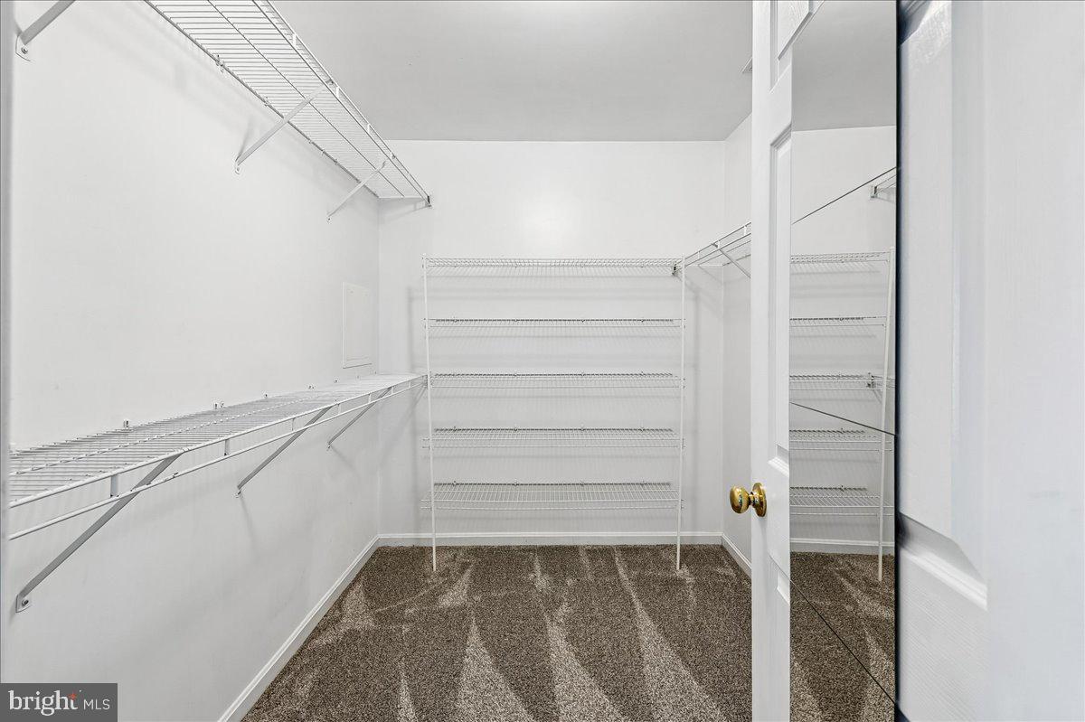 3592 Fontron Dr Property Photo 41