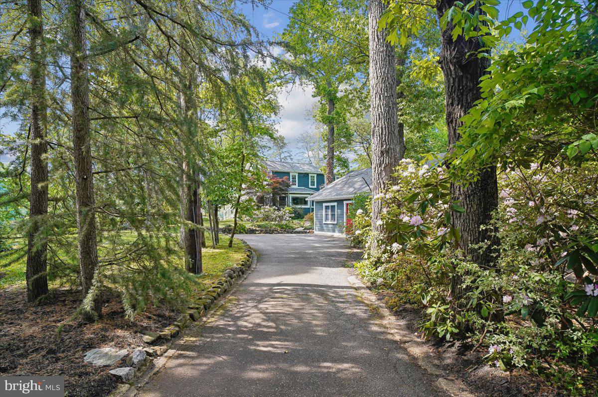 300 Magothy Bridge Rd Property Photo 9