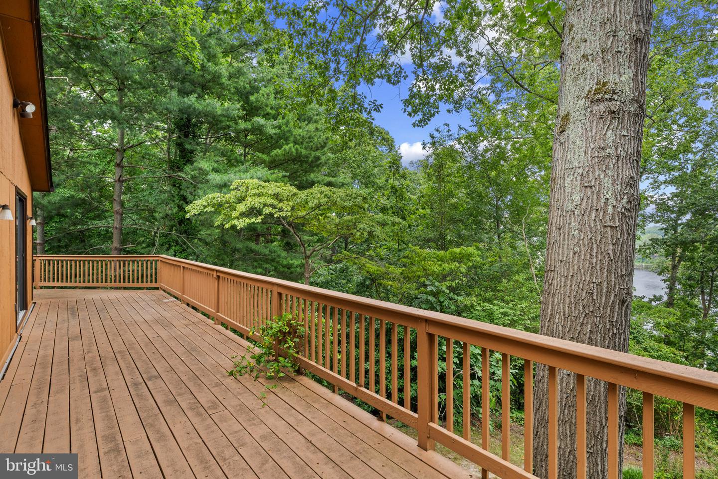 783 Sonne Dr Property Photo 41