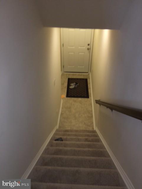 856 Nancy Lynn Ln Property Photo 20