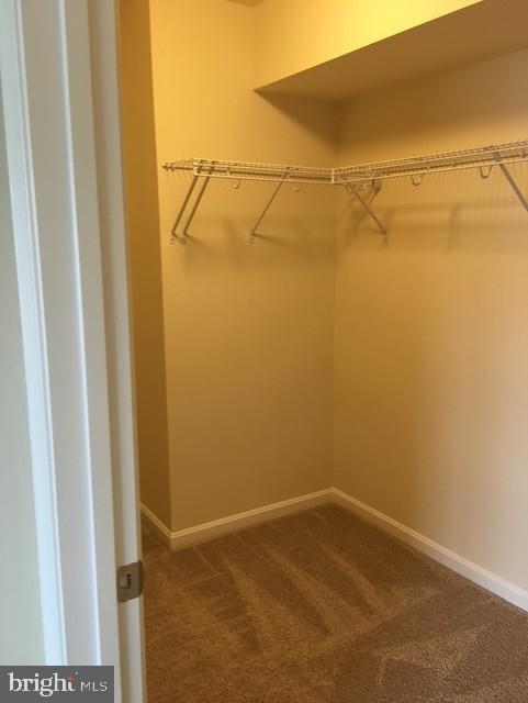 856 Nancy Lynn Ln Property Photo 27