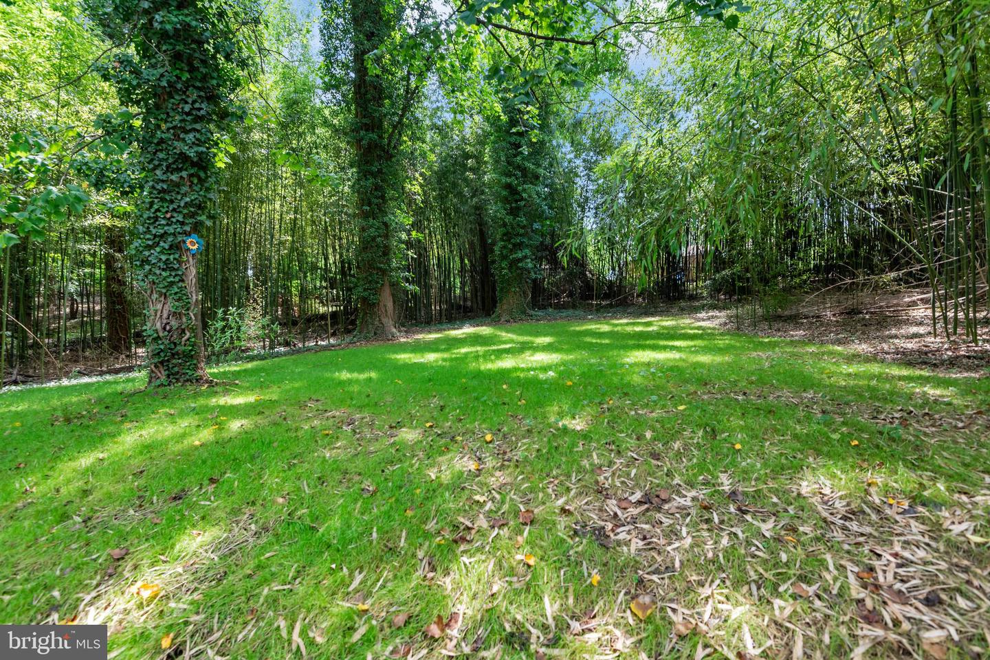1350 Ritchie Hwy Property Photo 37