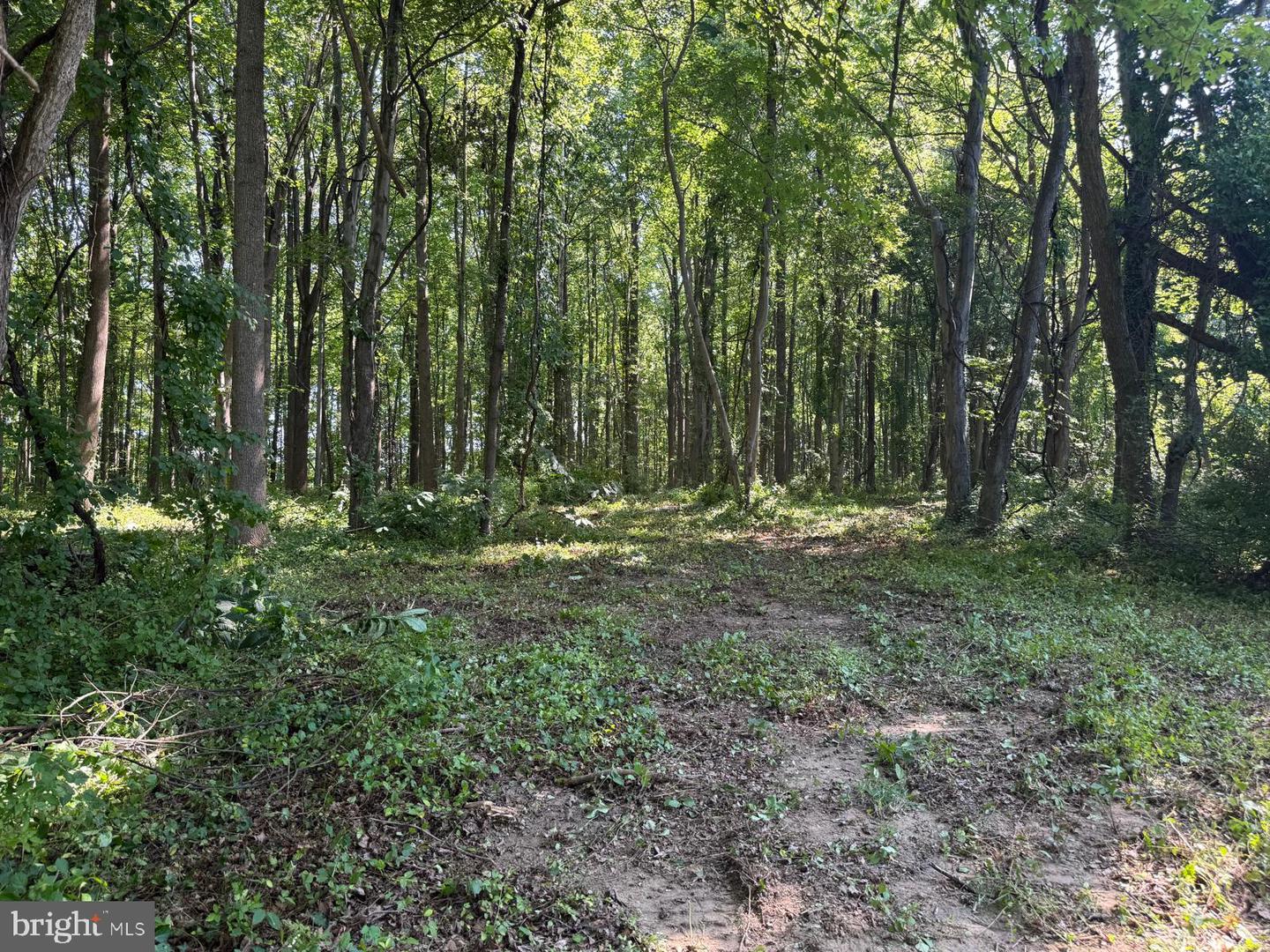 3321 Patuxent River Rd Property Photo 12