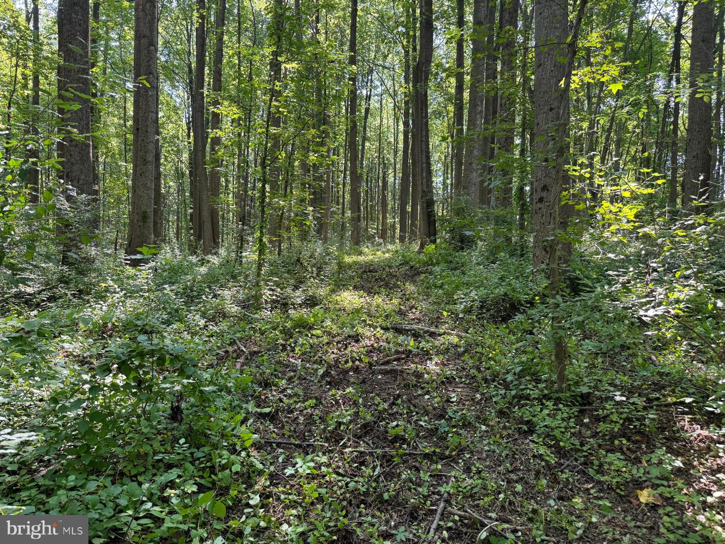 3321 Patuxent River Rd Property Photo 13