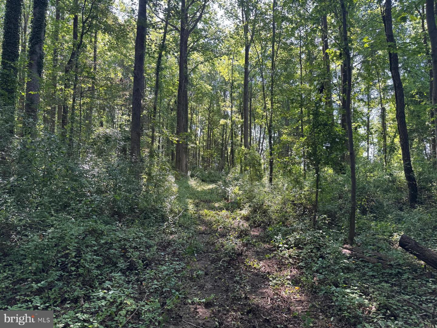 3321 Patuxent River Rd Property Photo 16