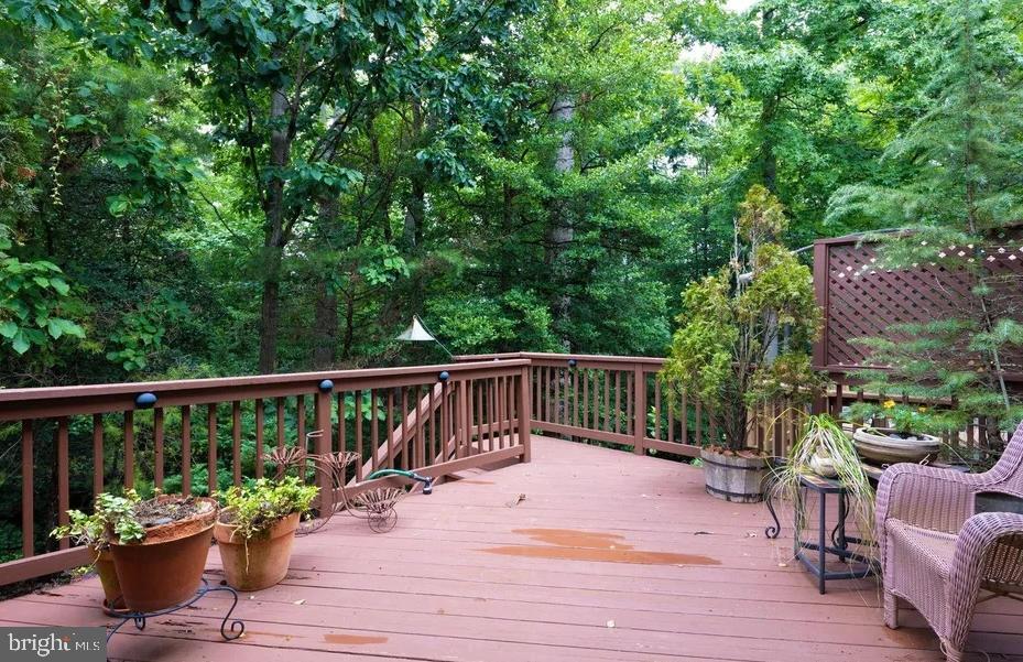 616 Bellerive Ct #85 Property Photo 32