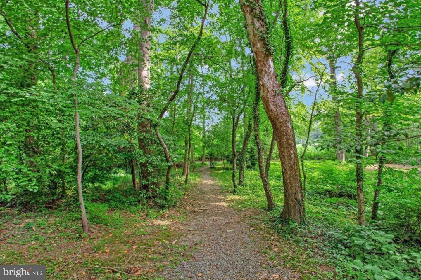556 Herons Nest Property Photo 49