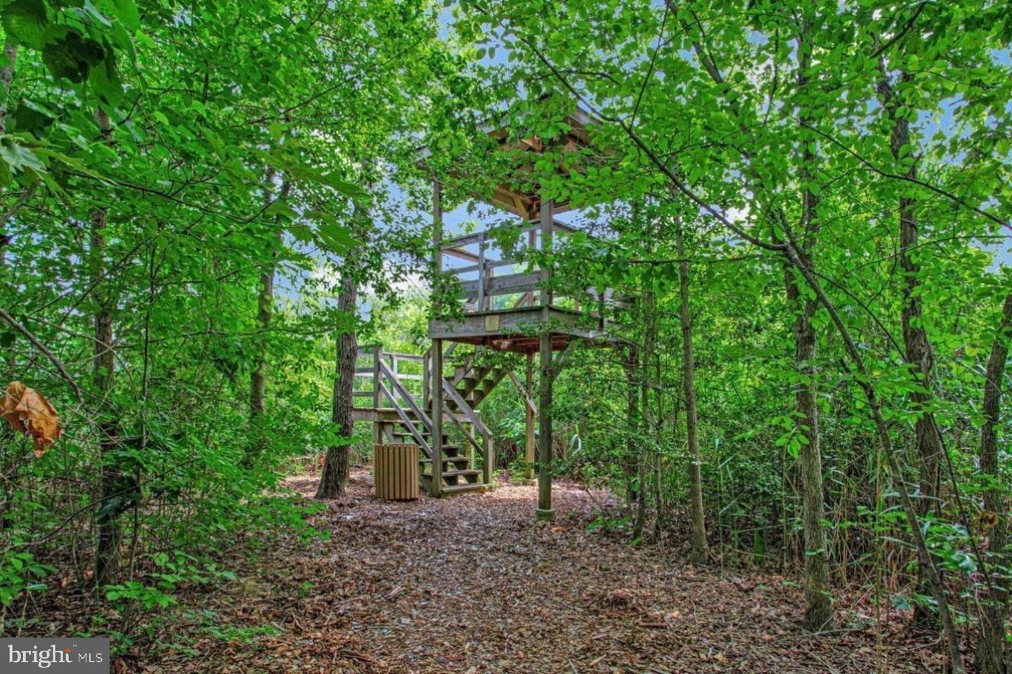 556 Herons Nest Property Photo 50