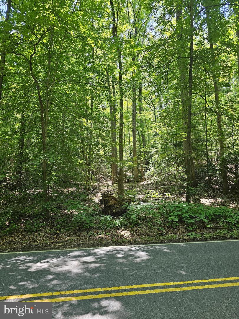 Herald Harbor Rd Property Photo 2