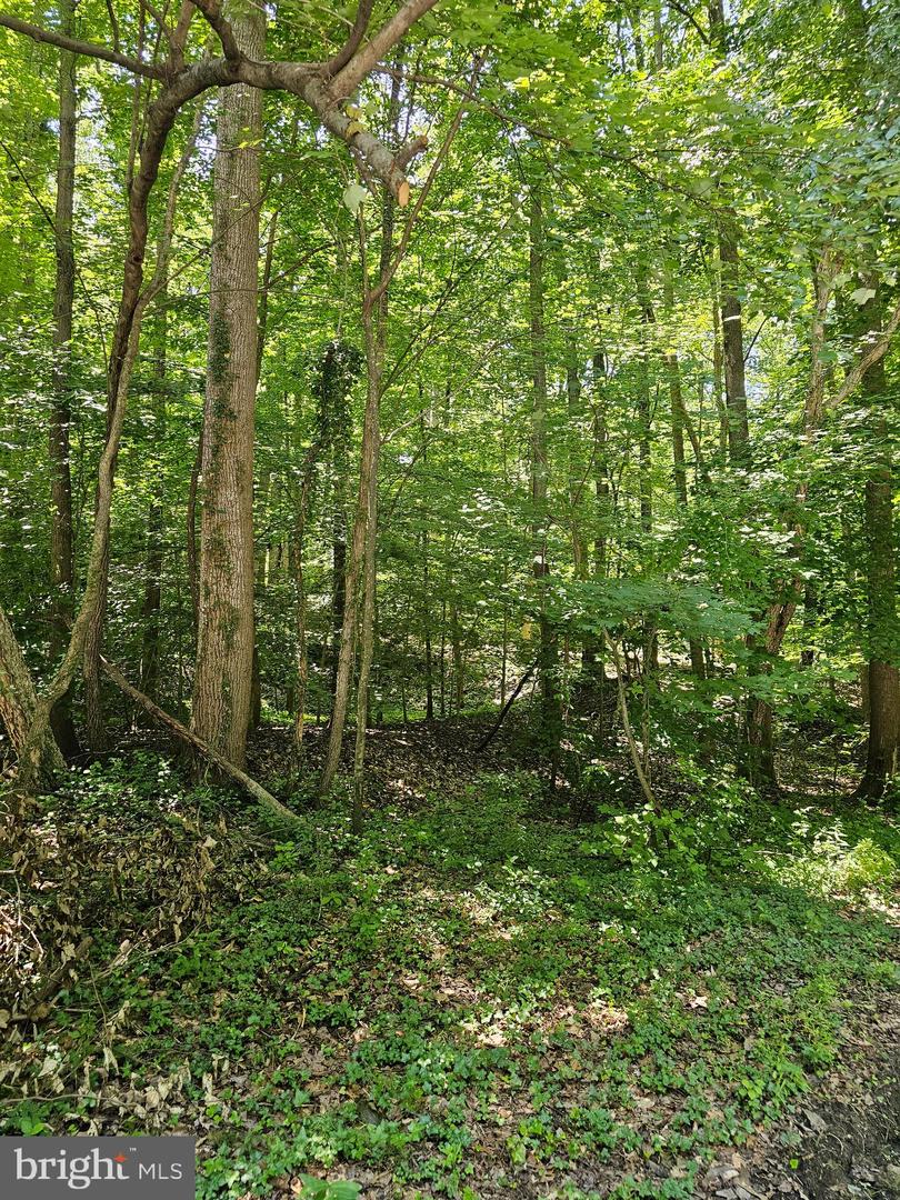 Herald Harbor Rd Property Photo 7