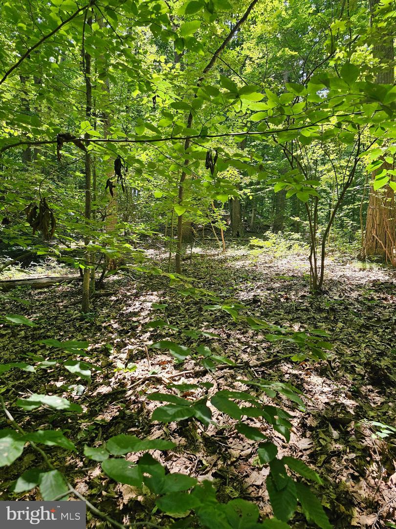 Herald Harbor Rd Property Photo 10