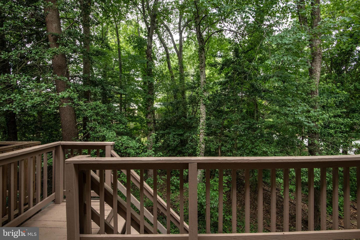 2802 Mockingbird Ct Property Photo 64
