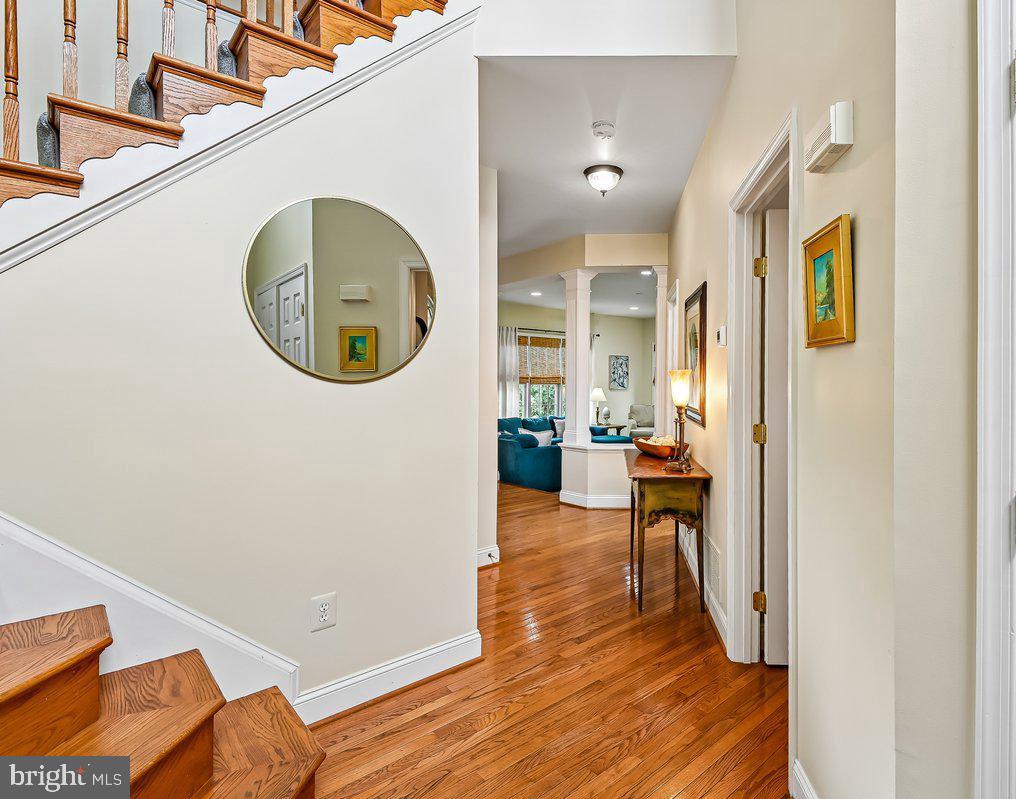 913 Enfield Way Property Photo 25