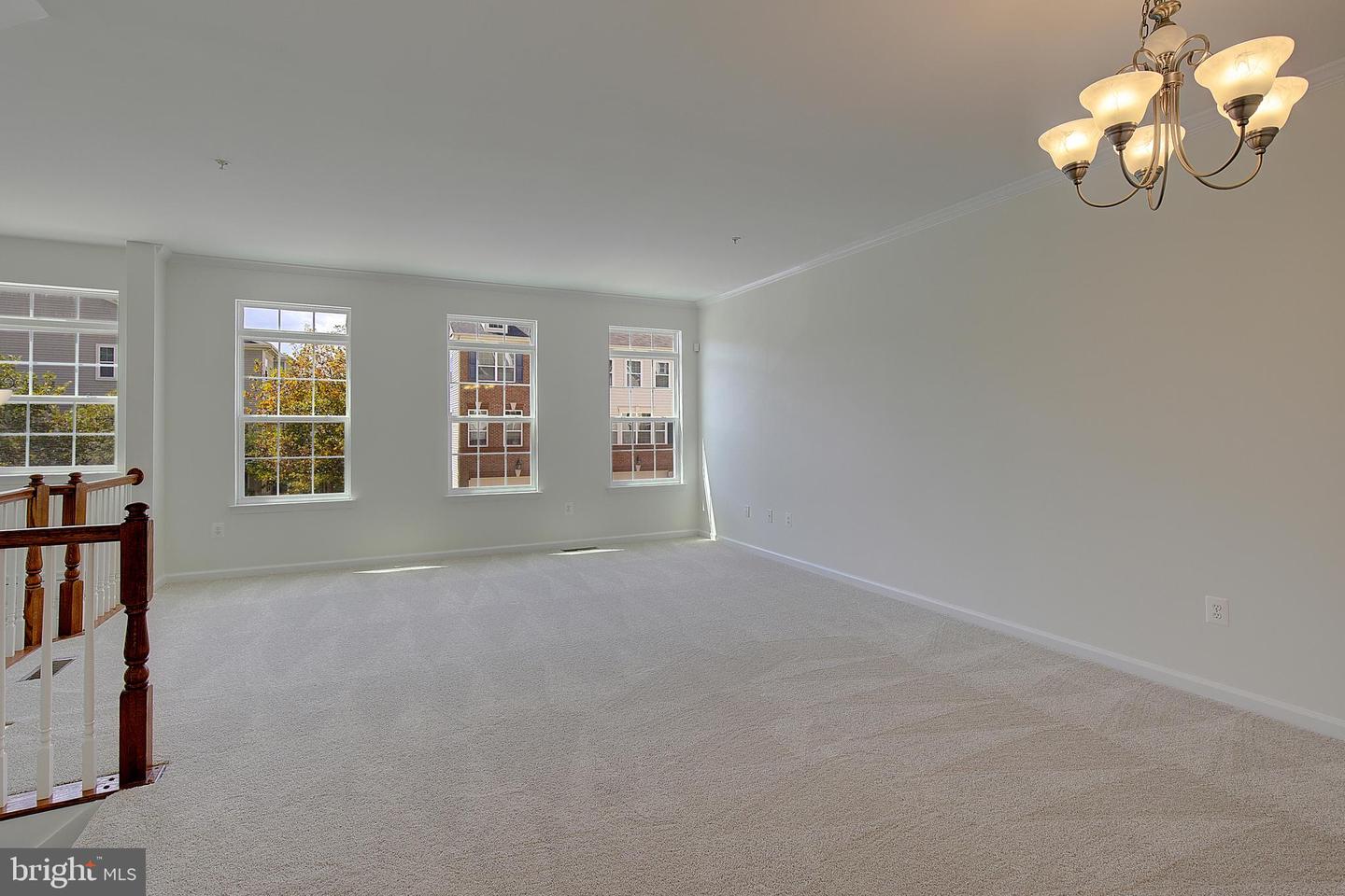 7425 Macon Dr Property Photo 3