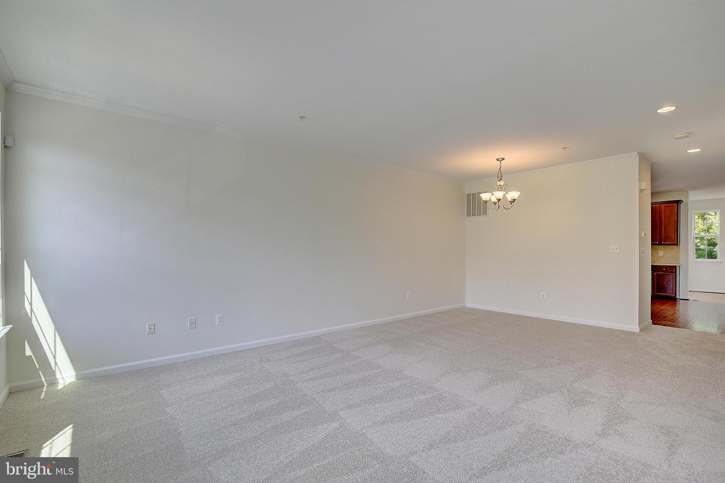 7425 Macon Dr Property Photo 6