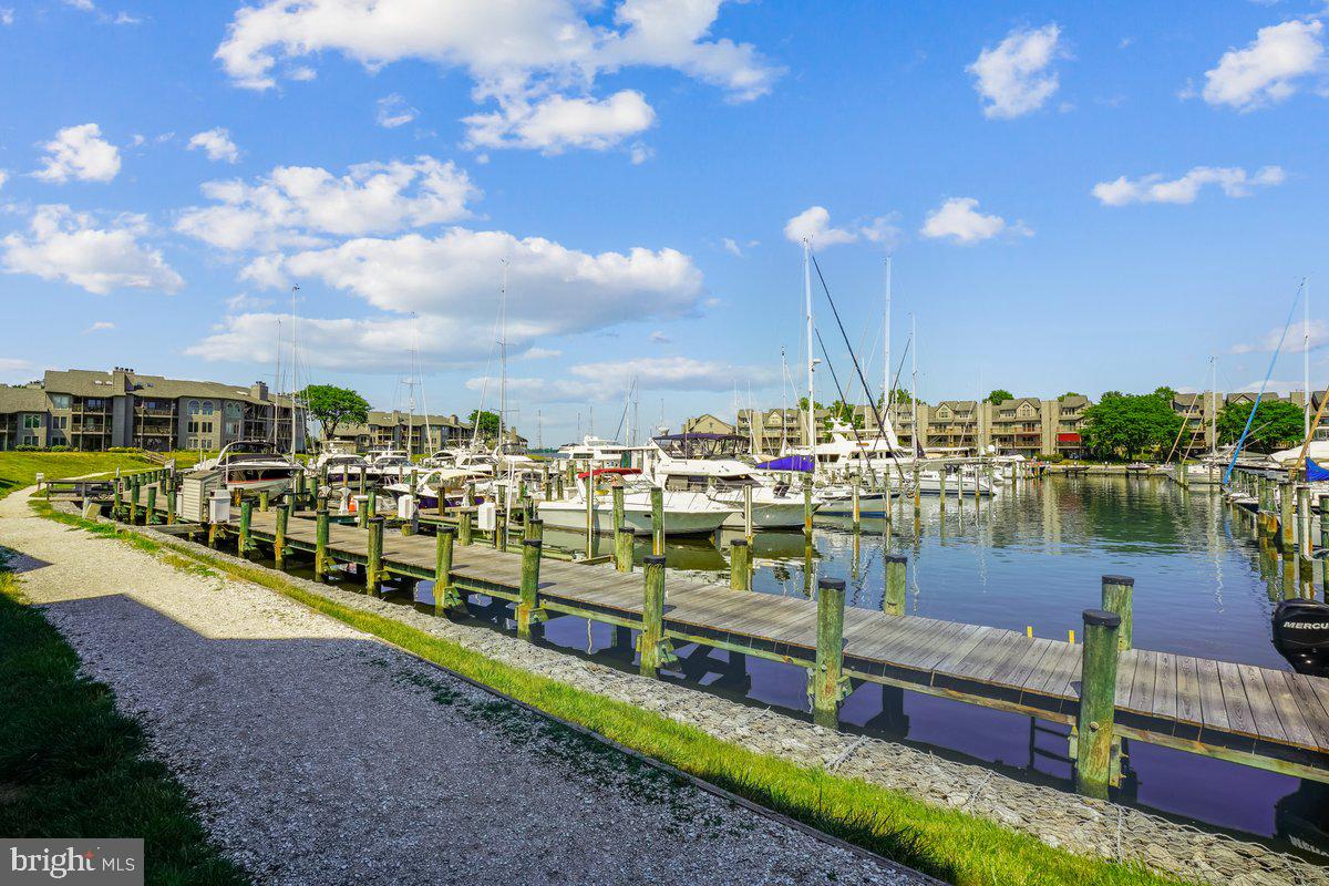 2102 Chesapeake Harbour Dr E #202 Property Photo 49