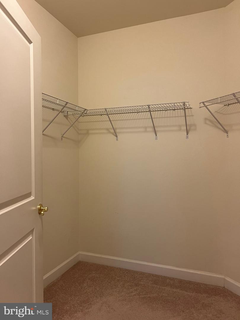 1501 Broadneck Pl #303 Property Photo 22