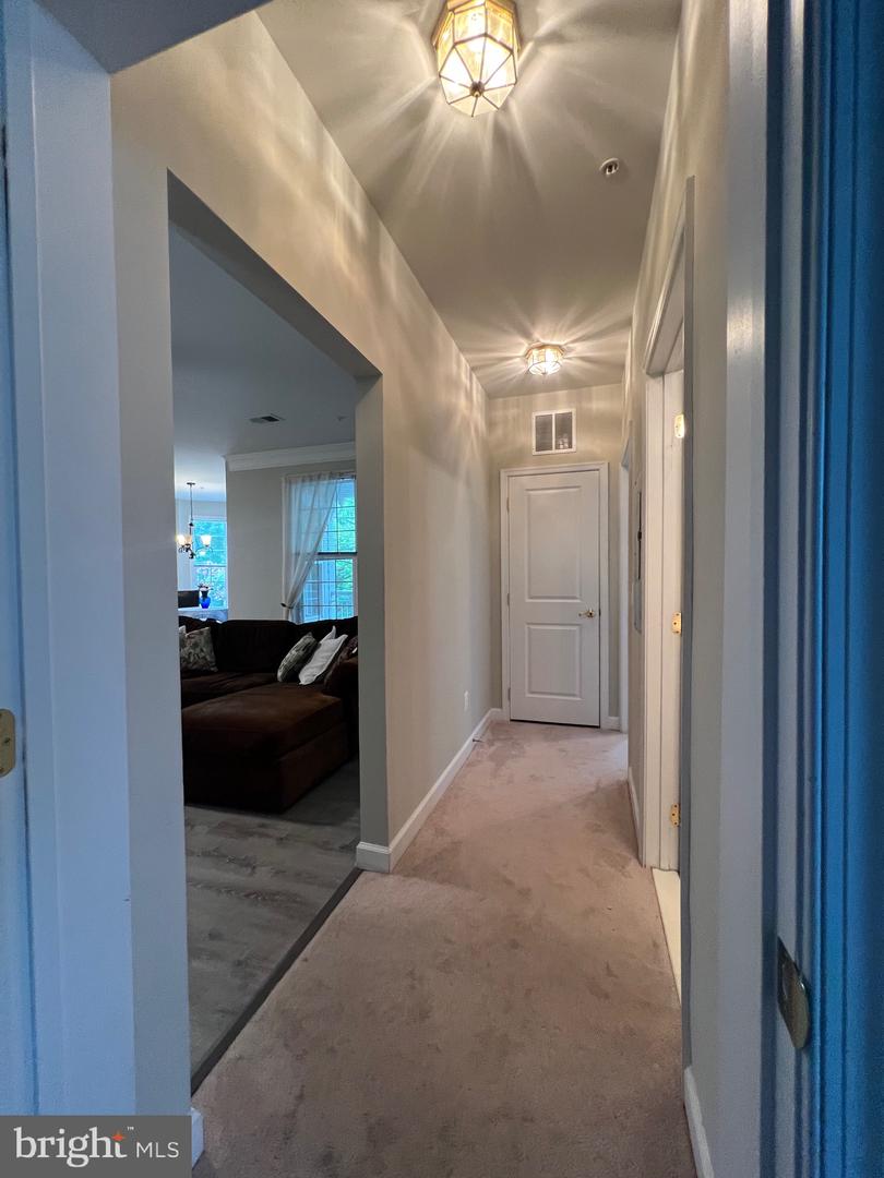 1501 Broadneck Pl #303 Property Photo 23