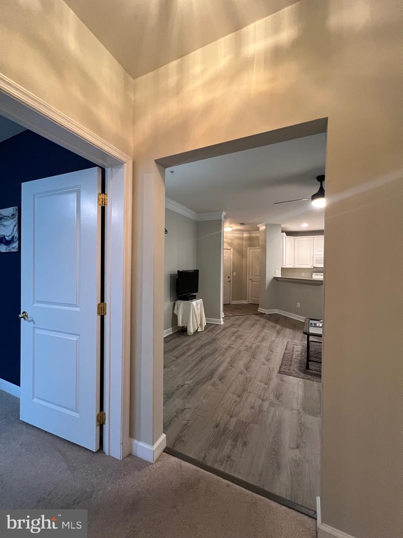 1501 Broadneck Pl #303 Property Photo 25