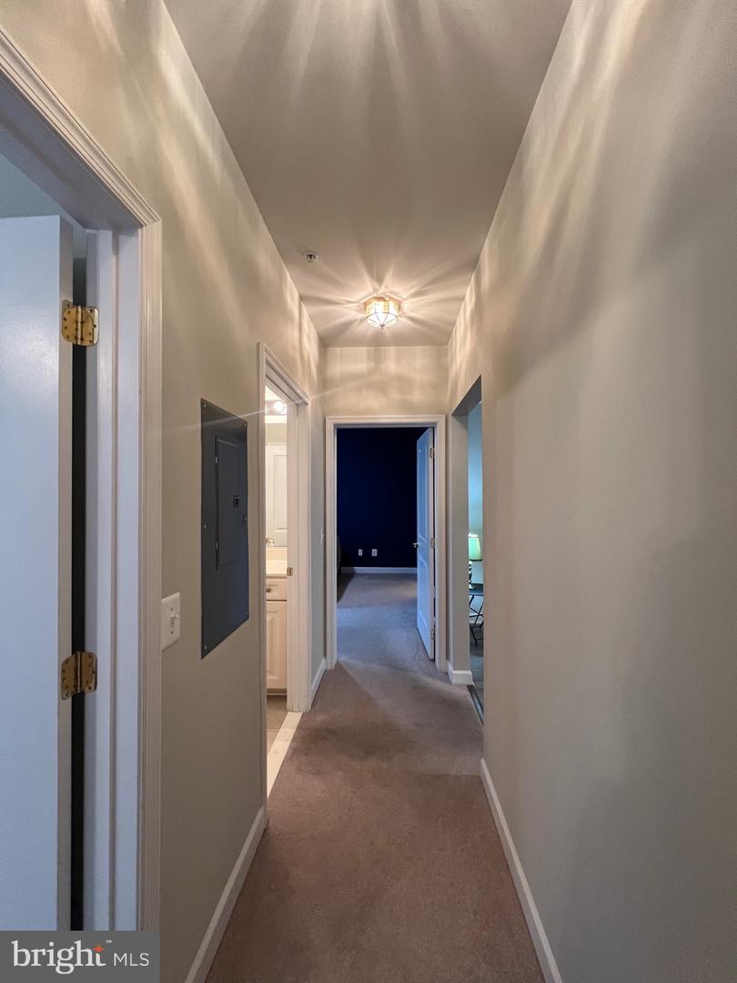 1501 Broadneck Pl #303 Property Photo 26